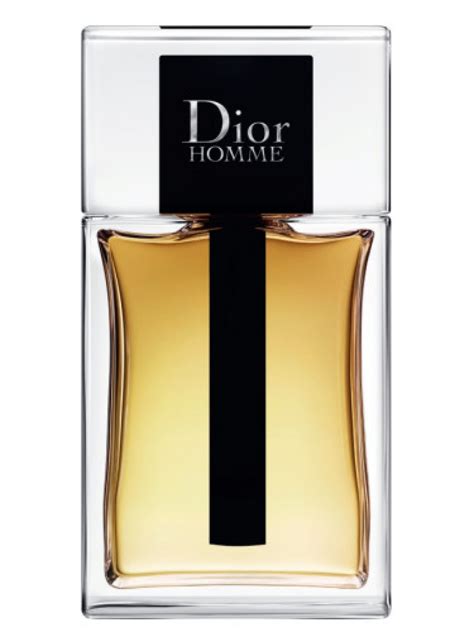 dior homme eau de toilett|dior homme parfum 2020.